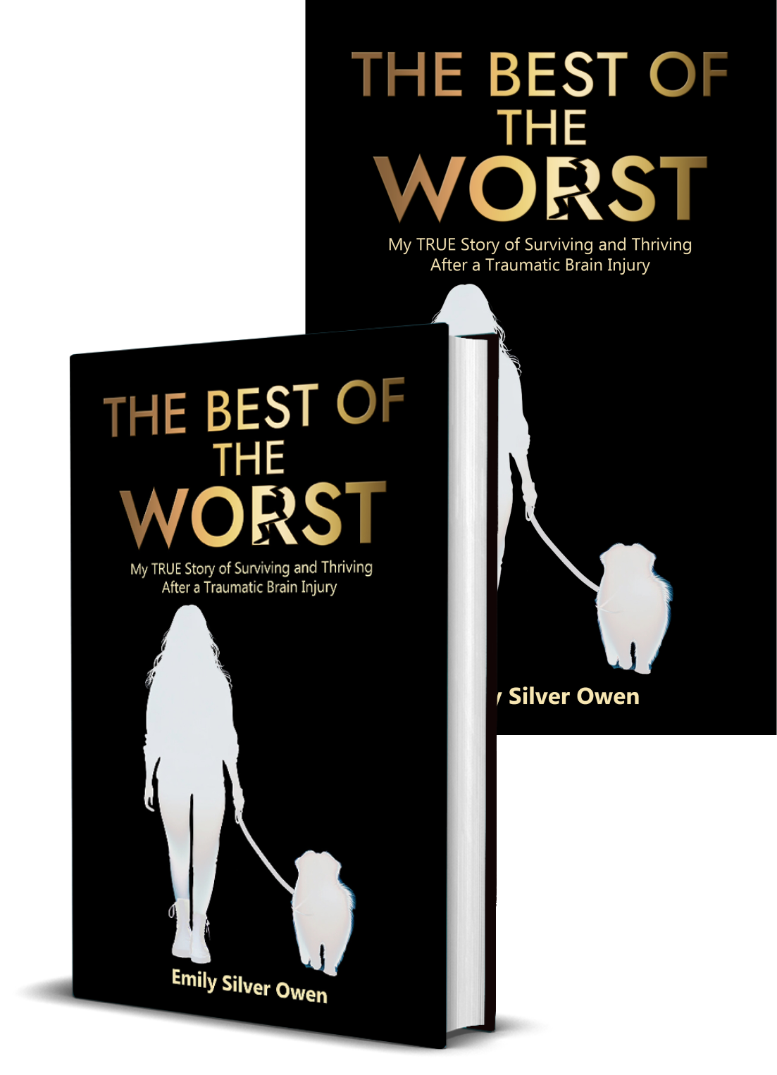 The Best of The Worst ebook